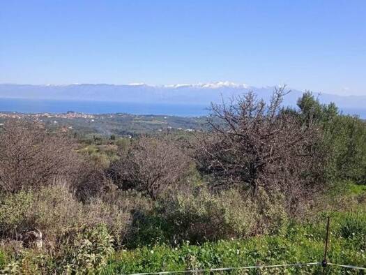 Grundstück zum Kauf 50.000 € 5.000 m² Grundstück Municipality of Pylos and Nestor TK24004