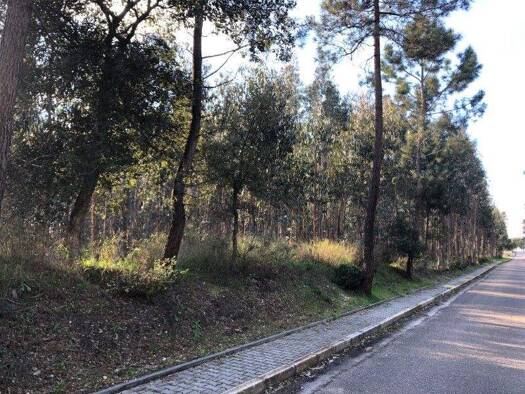 Grundstück zum Kauf 115.000 € 22.680 m² Grundstück Rio Maior
