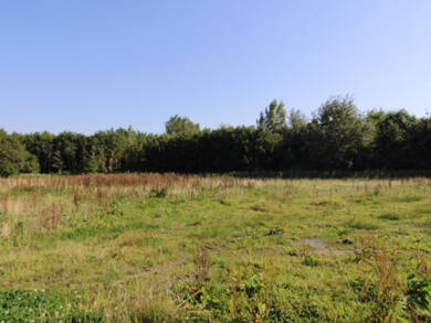 Grundstück zum Kauf 116.000 € 796 m² Grundstück Burhave Butjadingen 26969