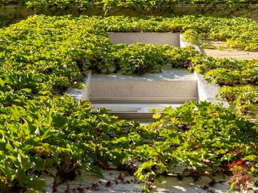 Wohnung zur Miete 456 € 3 Zimmer 58,7 m² 3. Geschoss Dölitzer Straße 40 Connewitz Leipzig 04277