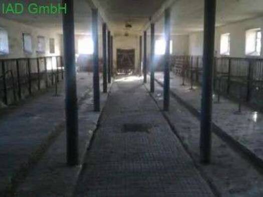 Bauernhaus zum Kauf 200.000 € 16 Zimmer 300 m² 7.548 m² Grundstück Kuppritz Hochkirch 02627