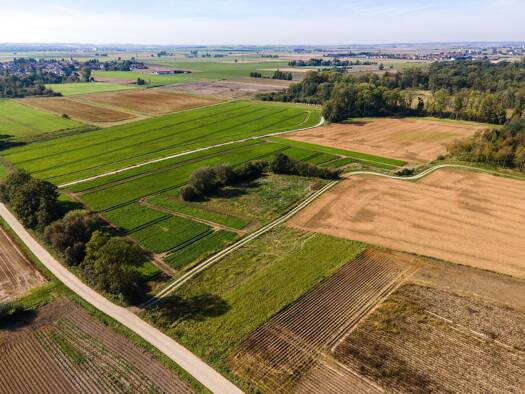 Land-/Forstwirtschaft zum Kauf 119.000 € 9.176 m² Grundstück Schönach Mötzing 93099