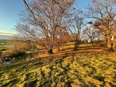 Land-/Forstwirtschaft zum Kauf 230.000 € 11.430 m² Grundstück Frieding Andechs 82346