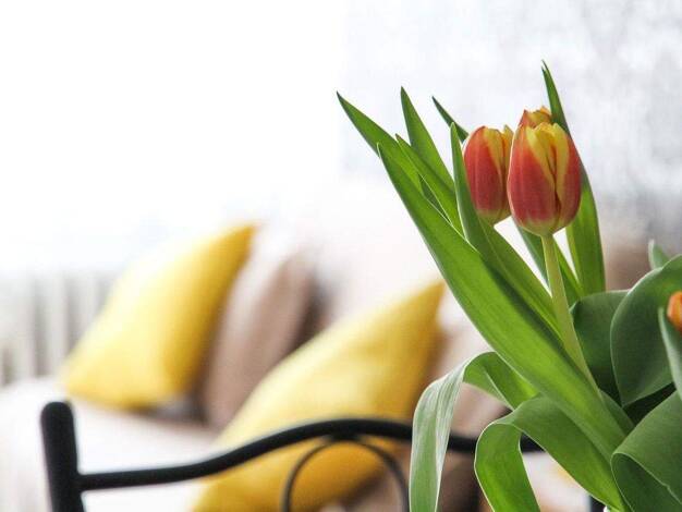 Wohnung zur Miete 680 € 2 Zimmer 51 m² Bernau 83233