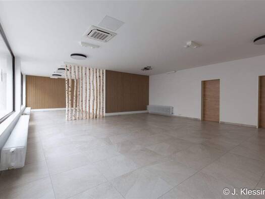 Ladenfläche zur Miete 1.277 € 2 Zimmer 101,3 m² Verkaufsfläche Altstadt Passau 94032
