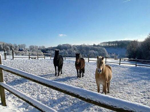 Reiterhof zum Kauf 1.450.000 € 199 m² 58.263 m² Grundstück Neuenherweg Hückeswagen 42499