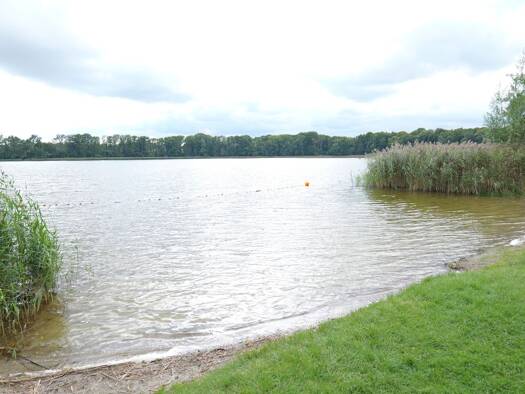 Bungalow zum Kauf 168.000 € 1,5 Zimmer 33 m² 415 m² Grundstück Wuthenow Neuruppin 16818