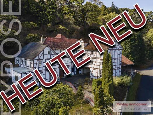 Bauernhaus zum Kauf 150.000 € 9 Zimmer 300 m² 2.449 m² Grundstück Neustadtst Gieselwerder Oberweser 34399