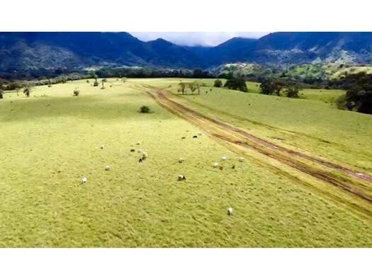 Grundstück zum Kauf 22.320.100 € 8.730.000 m² Grundstück Veraguas