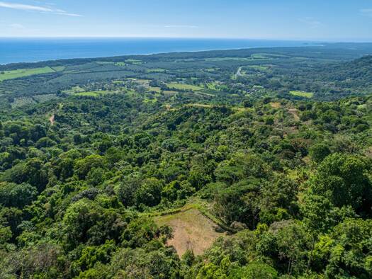 Bauernhof zum Kauf 1.337.517 € 178.285 m² Grundstück 82XR+M5 Savegre de Aguirre