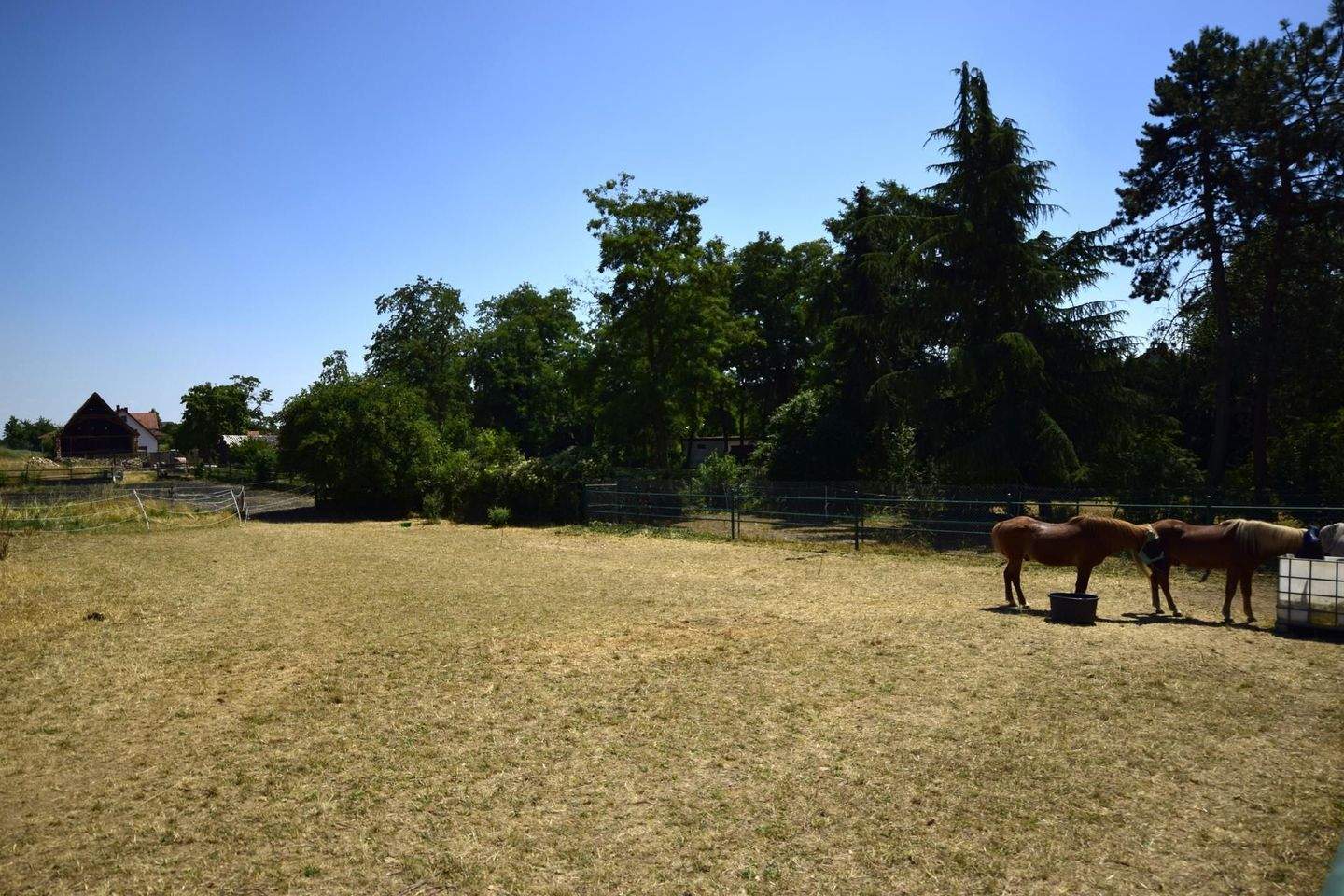 Haus – Kleinkarlbach - Ansicht 2