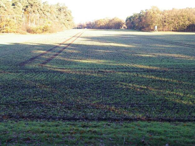 Land-/Forstwirtschaft zum Kauf 297.000 € 21.106 m² Grundstück Füchtorf Sassenberg 48336