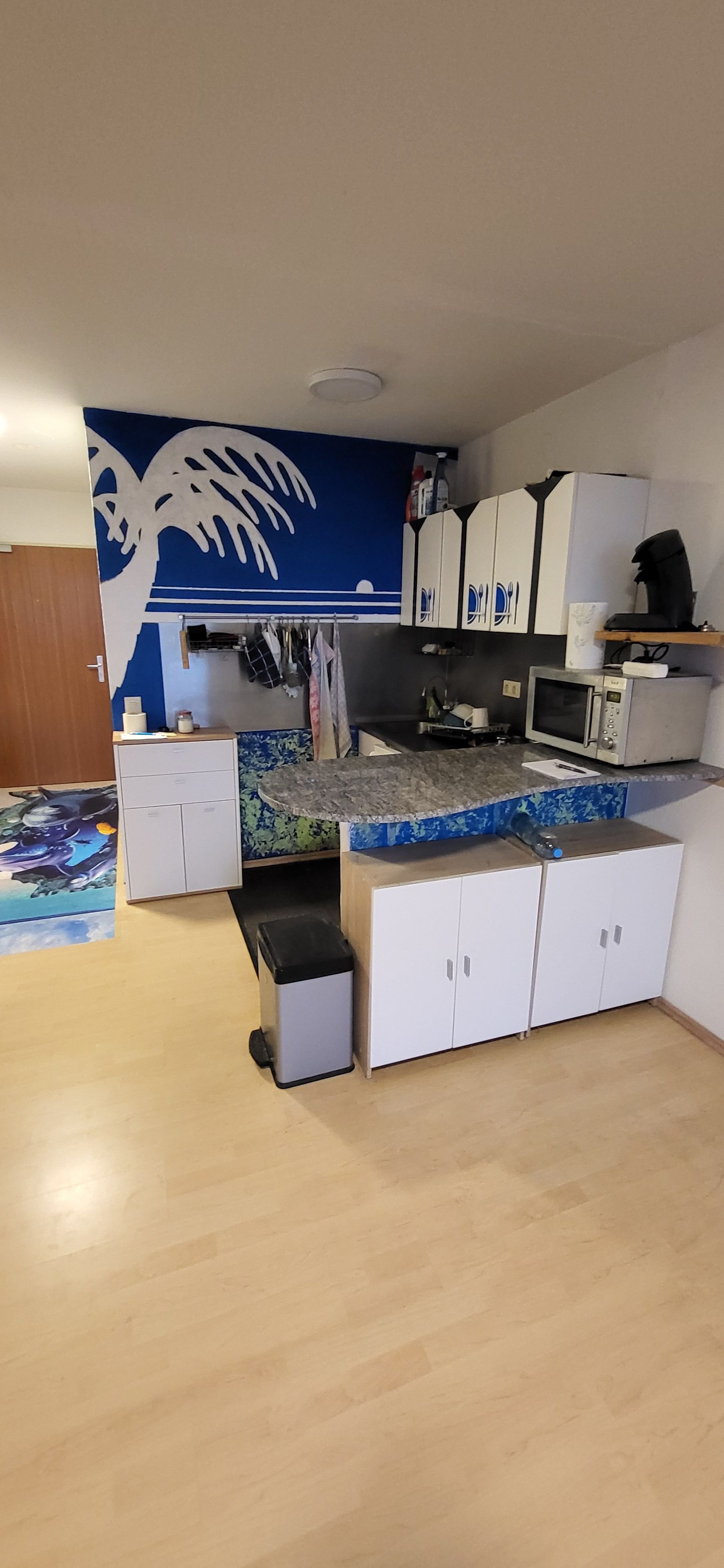 Studio zur Miete 700 € 1 Zimmer 47,5 m²<br/>Wohnfläche ab sofort<br/>Verfügbarkeit Hohenstoffelnstrasse 11 Nord - West Radolfzell am Bodensee 78315