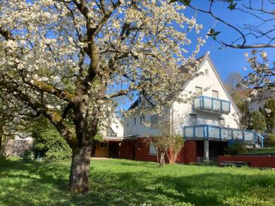 Einfamilienhaus zum Kauf 695.000 € 5 Zimmer 113 m² 1.111 m² Grundstück frei ab sofort Rübezahlweg 1 Höchberg 97204