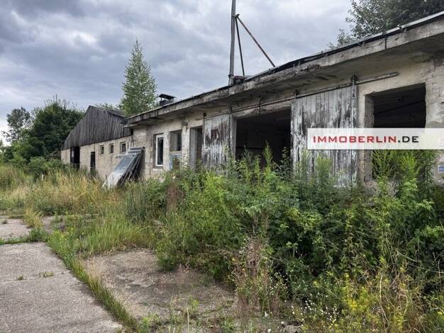 Land-/Forstwirtschaft zum Kauf 160.000 € 53.000 m² Grundstück Neuholland Liebenwalde 16559