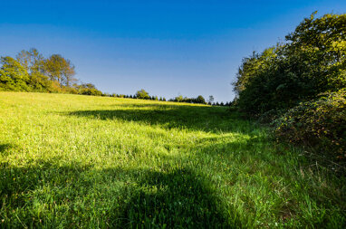 Grundstück zum Kauf 127.000 € 790 m² Grundstück Engolling Auerbach - Engolling 94530