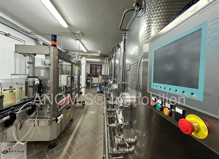 Villa zum Kauf 4.500.000 € 15 Zimmer 500 m² 670.000 m² Grundstück frei ab sofort Luxus Villa, Olivenhain, Einliegerwohnung Massa Marittima 58024