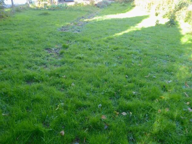 Grundstück zum Kauf 199.000 € 676 m² Grundstück Horressen Montabaur 56410