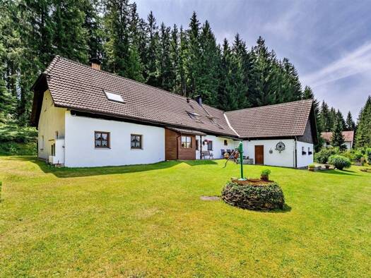 Einfamilienhaus zum Kauf 825.000 € 7 Zimmer 294 m² 27.142 m² Grundstück Frymburk 38279