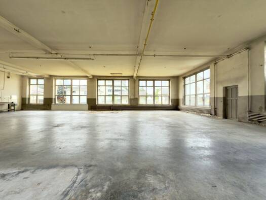 Halle/Industriefläche zur Miete 5,11 € 296 m² Lagerfläche Lustenau 6890