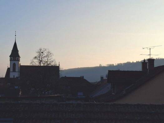 Wohnung zur Miete 690 € 2 Zimmer 48 m² frei ab sofort Bergwerkstr. 48 Hausen 79688