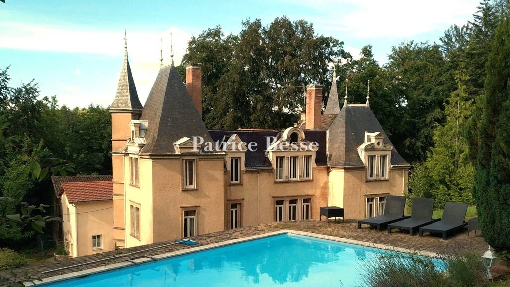 Schloss zum Kauf 750.000 € 20 Zimmer 864 m² 144.445 m² Grundstück Bourgoin-Jallieu 38300