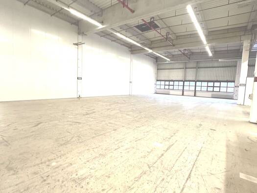 Lagerhalle zur Miete provisionsfrei 6,50 € 400 m² Lagerfläche teilbar ab 250 m² Werder (Havel) Werder (Havel) 14542