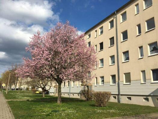 Wohnung zur Miete 325 € 3 Zimmer 59,2 m² EG Juri-Gagarin-Str. 11 Aschersleben 06449