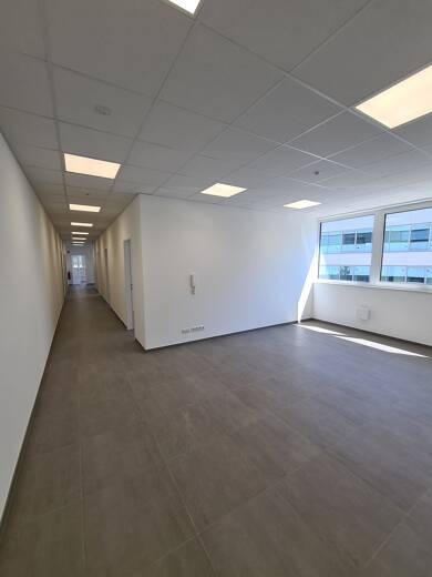Büro-/Praxisfläche zur Miete provisionsfrei 6 Zimmer 170 m² Bürofläche Lindenstr. 65 Dorenkamp Rheine 48431