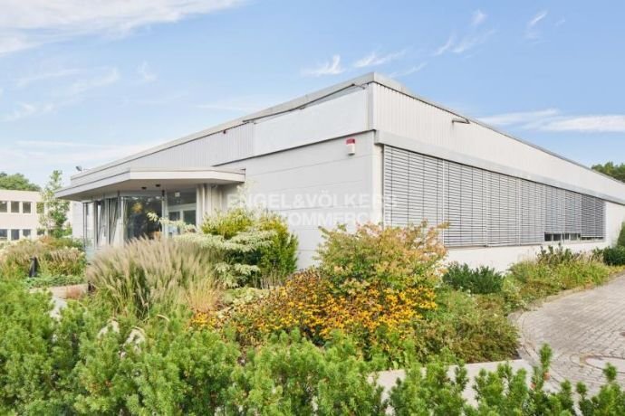 Produktionshalle zur Miete 2.100 m²<br/>Lagerfläche ab 2.100 m²<br/>Teilbarkeit Klein Hehlen Celle 29223