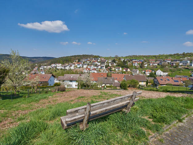 Grundstück zum Kauf 98.000 € 948 m² Grundstück Lützel-Wiebelsbach Lützelbach 64750