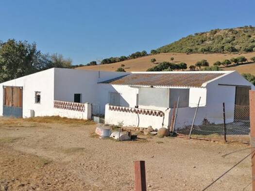 Landhaus zum Kauf 299.000 € 5 Zimmer 280 m² 24.000 m² Grundstück Vejer de la Frontera 11150