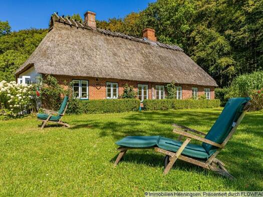 Haus zum Kauf provisionsfrei 550.000 € 3,5 Zimmer 95 m² 10.375 m² Grundstück frei ab 01.11.2026 Steinfeld 24888