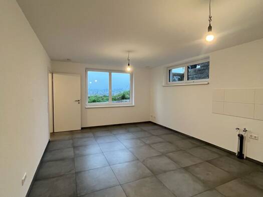 Wohnung zur Miete 700 € 1,5 Zimmer 48 m² frei ab sofort Erbach 89155