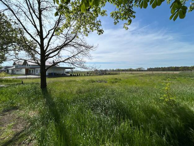 Grundstück zum Kauf 195.000 € 2.099 m² Grundstück Trechwitz Groß Kreutz (Havel) 14550