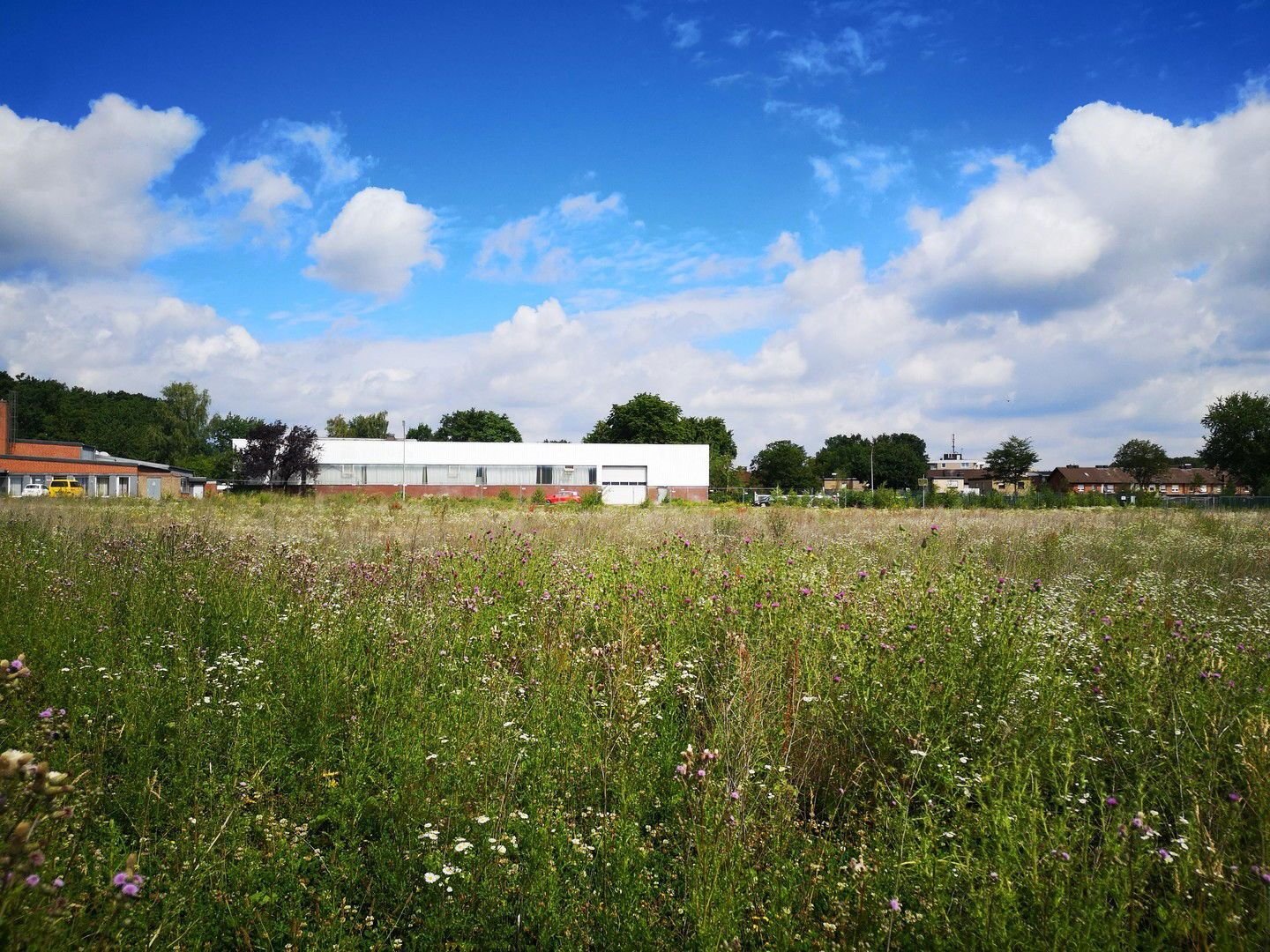 Lagerhalle zum Kauf provisionsfrei 99.000 € 745,4 m²<br/>Lagerfläche Oelde Oelde 59302