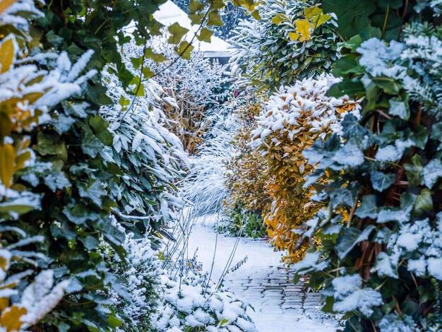 Reihenendhaus zum Kauf 3.750.000 € 3,5 Zimmer 175 m² 414 m² Grundstück Bogenhausen München 81925