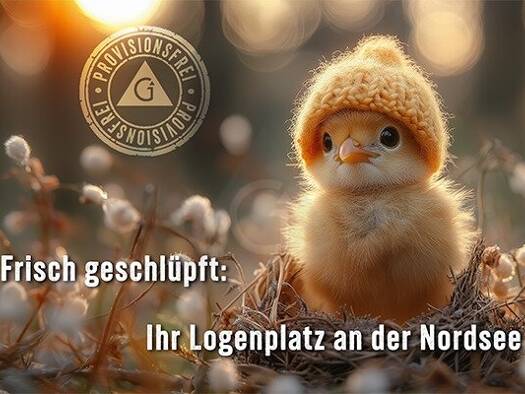 Wohnung zum Kauf provisionsfrei 215.000 € 2 Zimmer 65 m² Westdorf Dornum-Westdorf 26553