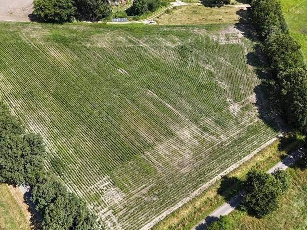 Land-/Forstwirtschaft zum Kauf 26.240 m² Grundstück Quendorf 48465