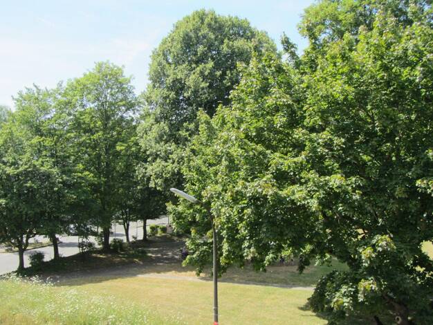 Wohnung zum Kauf provisionsfrei 236.000 € 2 Zimmer 57 m² 2. Geschoss Oedekoven Alfter 53347