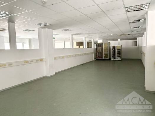 Produktionshalle zur Miete provisionsfrei 3.532 € 784,5 m² Lagerfläche Heusenstamm 63150