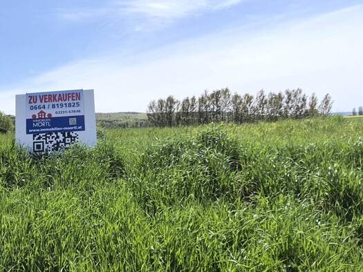 Grundstück zum Kauf 198.000 € 7.627 m² Grundstück Horn 3580