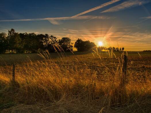 Grundstück zum Kauf 406.000 € 240 m² Grundstück Oberursel 61440