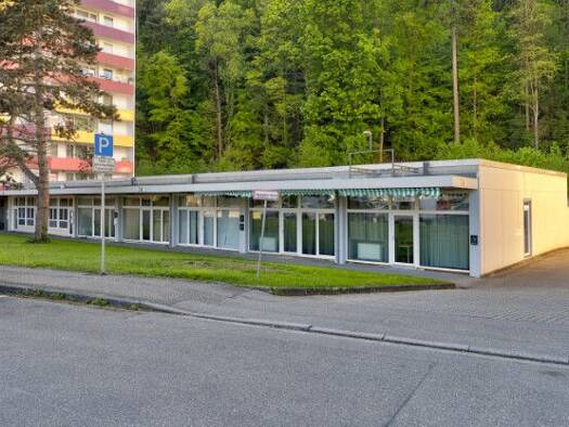 Sonstiges zum Kauf als Kapitalanlage geeignet 990.000 € 382 m² 3.927 m² Grundstück Waldkirch Waldkirch 79183