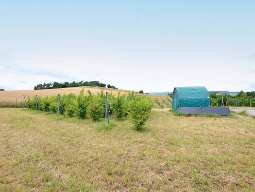 Grundstück zum Kauf 150.000 € 17.200 m² Grundstück Buensen Einbeck 37574