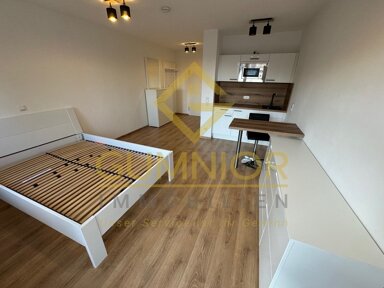 Apartment zur Miete 550 € 1 Zimmer 28,2 m² 1. Geschoss frei ab 01.11.2024 Fichtenbühl Weiden 92637