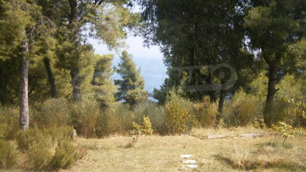 Reihenmittelhaus zum Kauf 450.000 € 146 m² Afitos