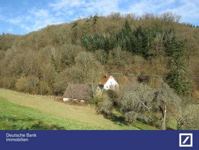 Land-/Forstwirtschaft zum Kauf 249.000 € 8.887 m² Grundstück Allemühl Schönbrunn 69436