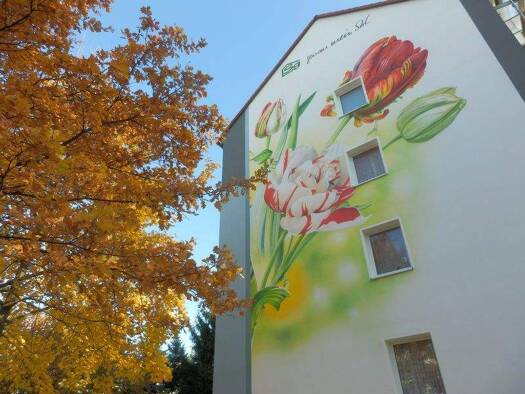 Wohnung zur Miete 306 € 2 Zimmer 47 m² 1. Geschoss frei ab sofort Albert-Schweitzer-Straße 3 Altendorf Chemnitz 09116