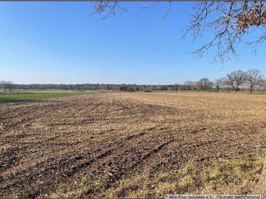 Land-/Forstwirtschaft zur Miete 16.112 m² Grundstück Sapelloh Warmsen 31606